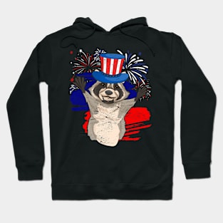 4th Of July Trash Panda Animal Lover USA Flag Raccoon Hoodie